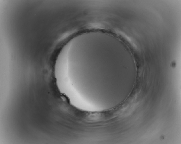 X0000102391303200808151911