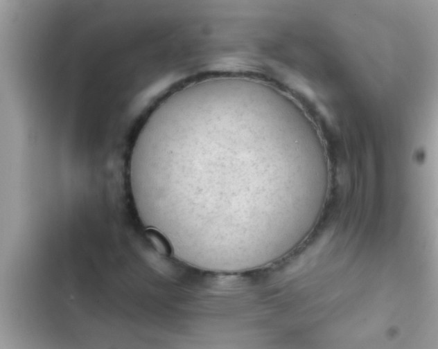 X0000102391304200808151911