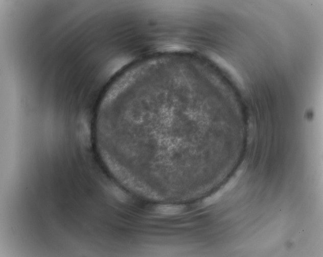 X0000102391305200808151911