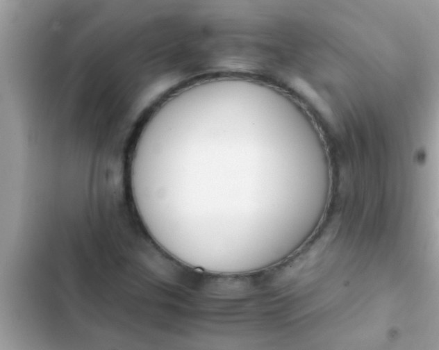 X0000102391307200808151911