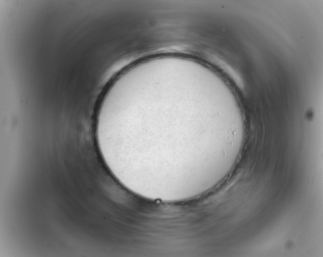 X0000102391308200808151911