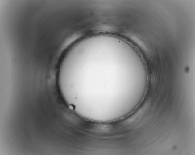 X0000102391309200808151911