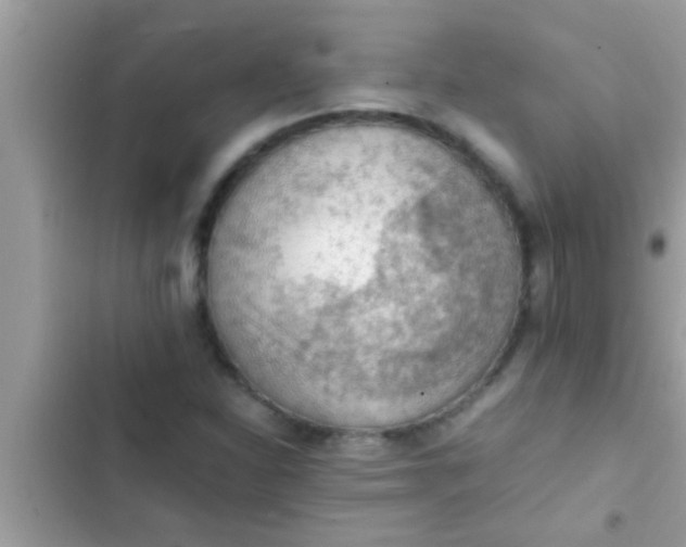 X0000102391310200808151911