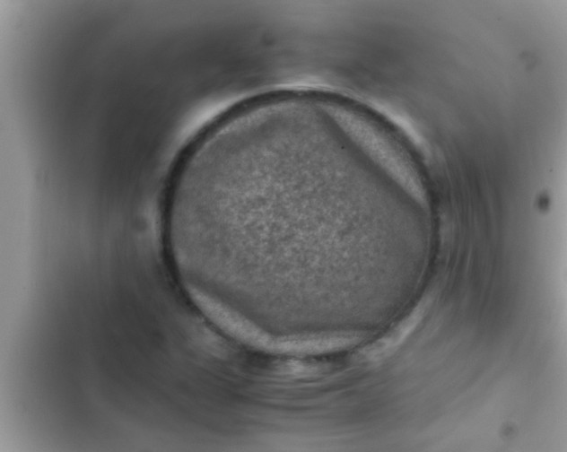 X0000102391311200808151911