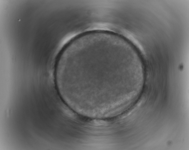 X0000102391312200808151911