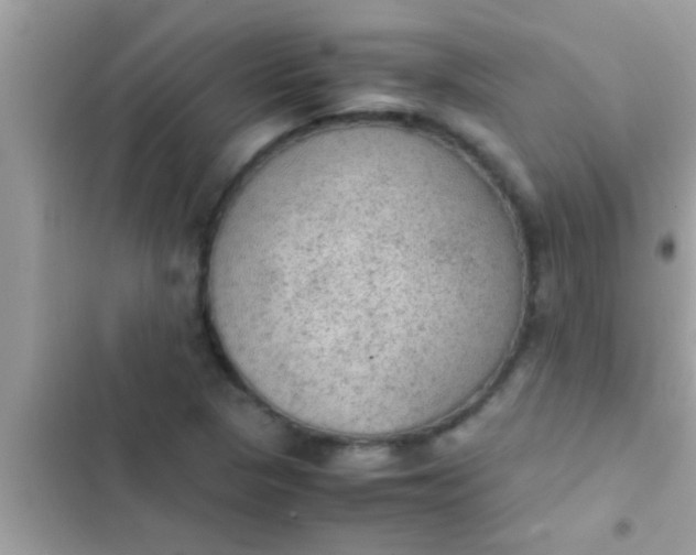 X0000102391313200808151911