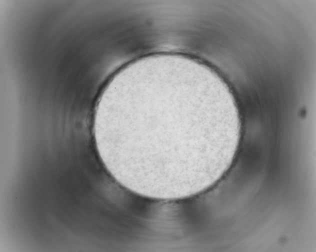 X0000102391314200808151911