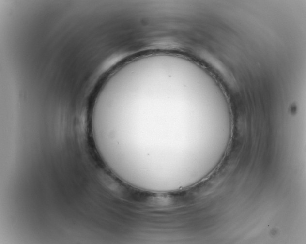 X0000102391315200808151911