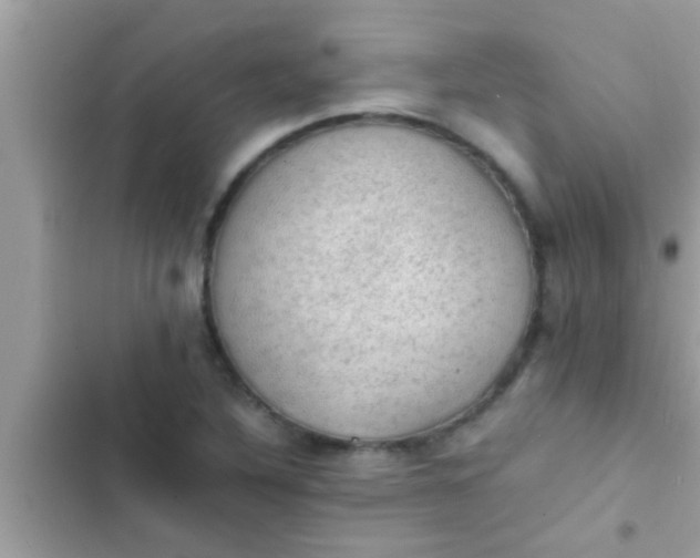 X0000102391316200808151911