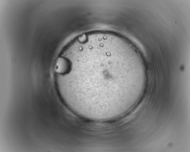 X0000102391318200808151911