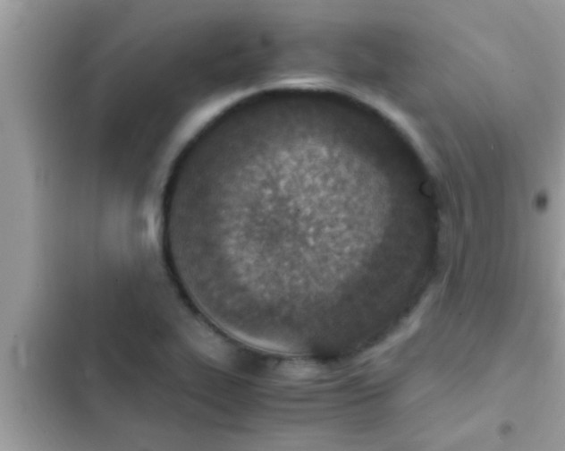 X0000102391319200808151912