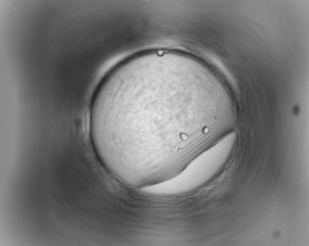 X0000102391320200808151912