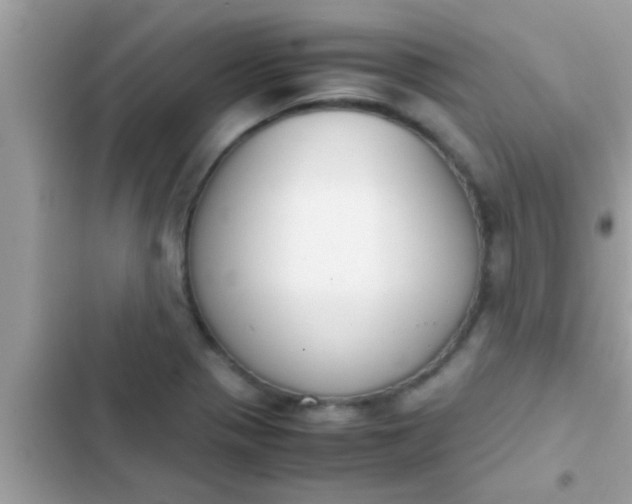 X0000102391321200808151912