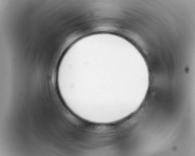 X0000102391322200808151912