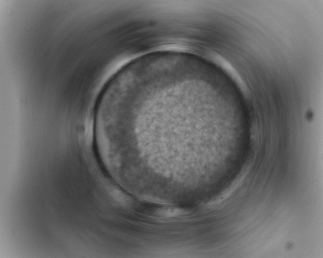 X0000102391323200808151912