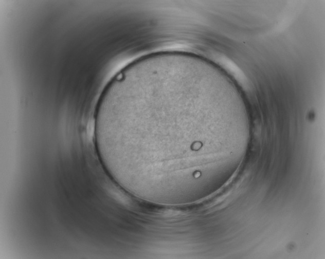 X0000102391324200808151912