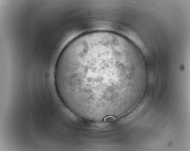 X0000102391325200808151912