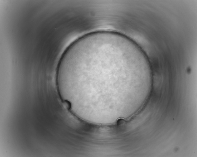 X0000102391326200808151912