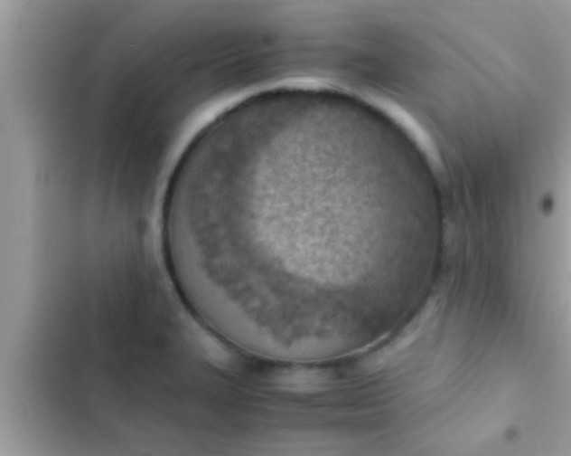 X0000102391327200808151912