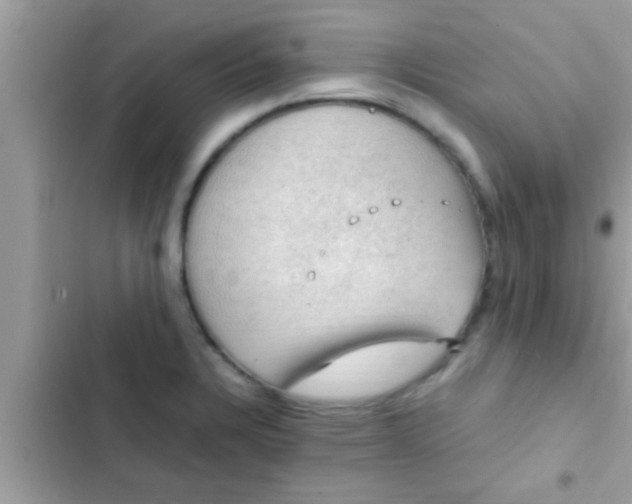 X0000102391328200808151912