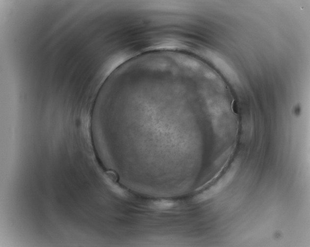 X0000102391329200808151912