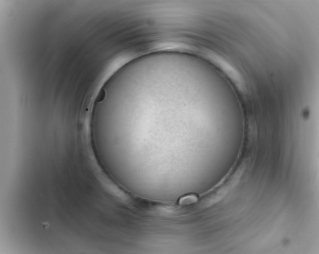 X0000102391330200808151912