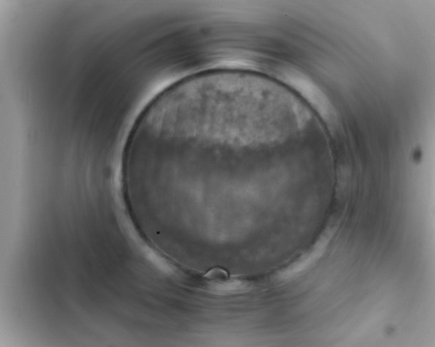 X0000102391331200808151912