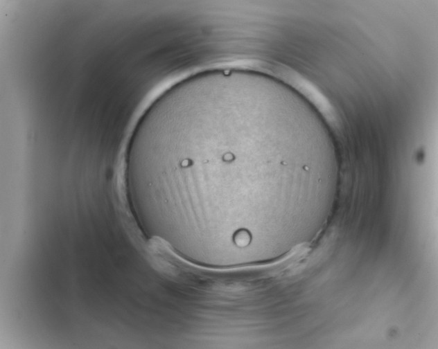 X0000102391332200808151912