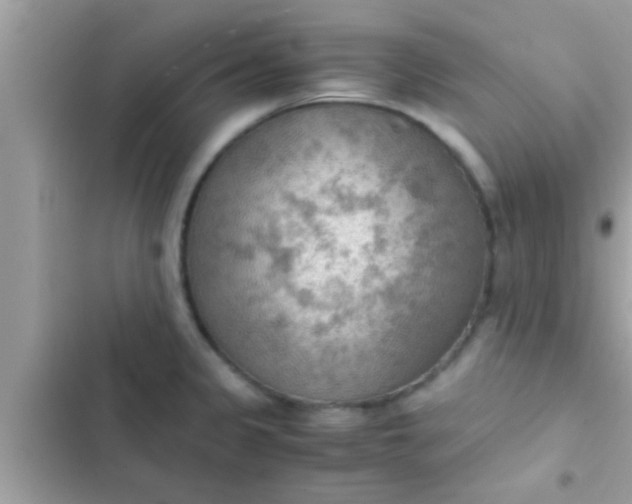 X0000102391333200808151912