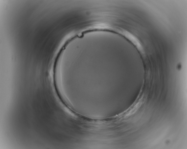 X0000102391334200808151912