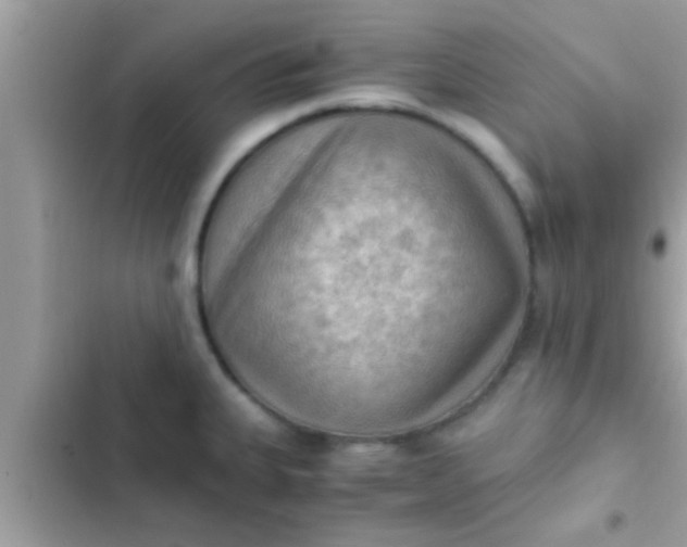 X0000102391335200808151912