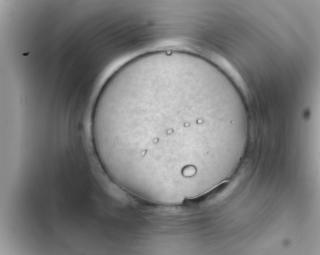 X0000102391336200808151912