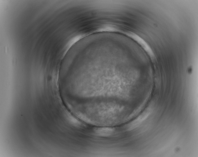 X0000102391337200808151912