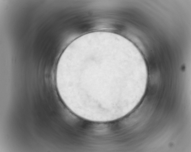 X0000102391338200808151912