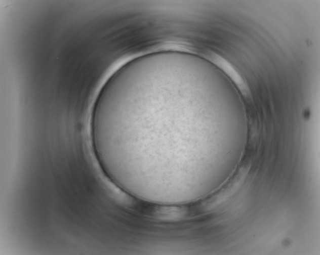 X0000102391339200808151912