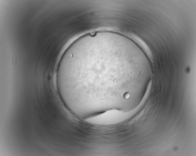 X0000102391340200808151912