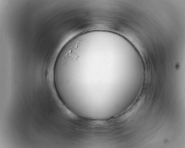 X0000102391341200808151912