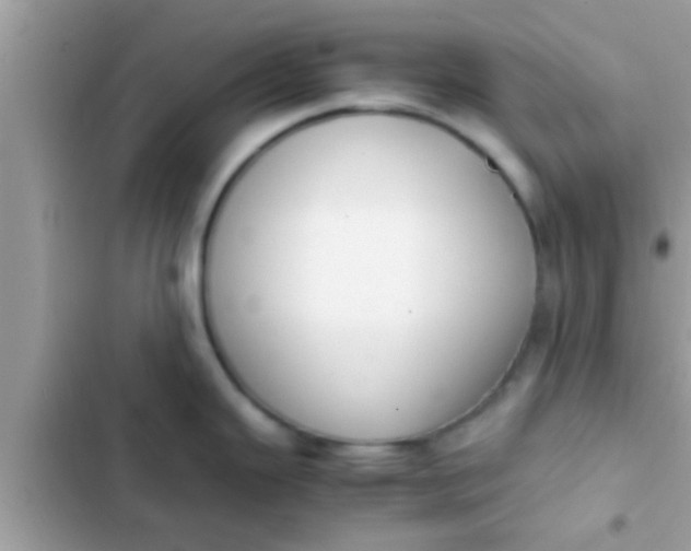 X0000102391343200808151912