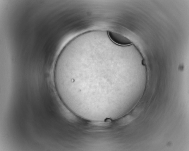 X0000102391344200808151912