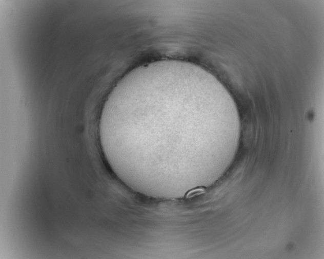 X0000102391345200808151911