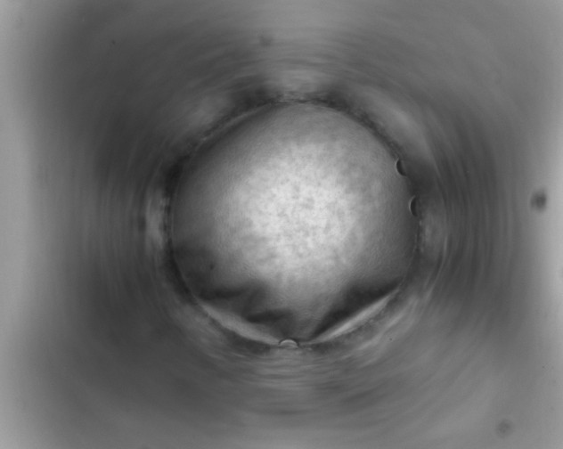 X0000102391346200808151911