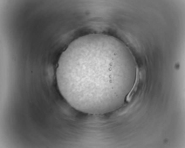 X0000102391347200808151911