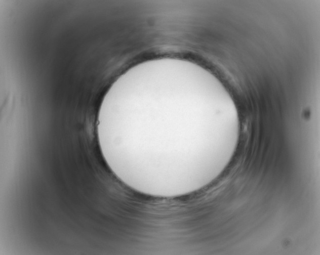 X0000102391348200808151911