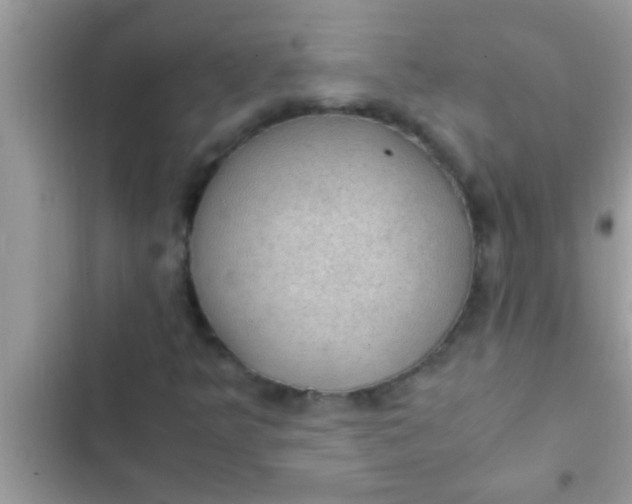 X0000102391349200808151911