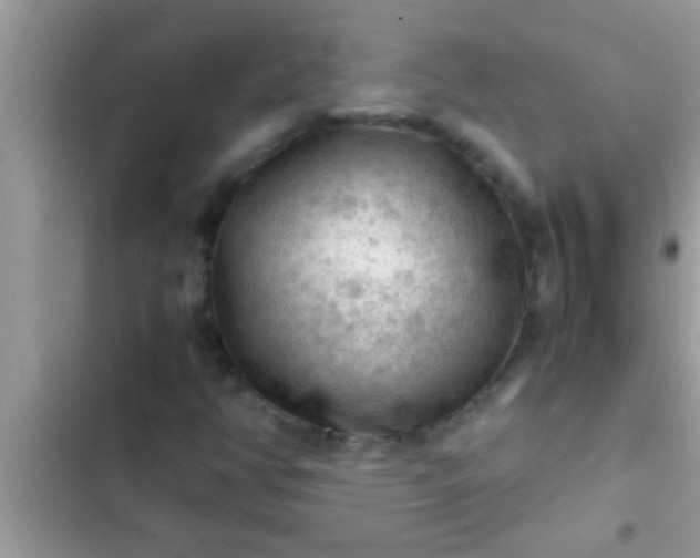 X0000102391350200808151911