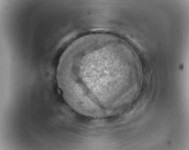 X0000102391351200808151911