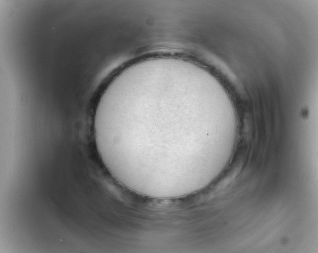 X0000102391352200808151911