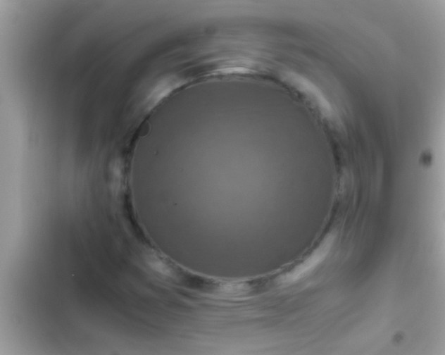 X0000102391353200808151911