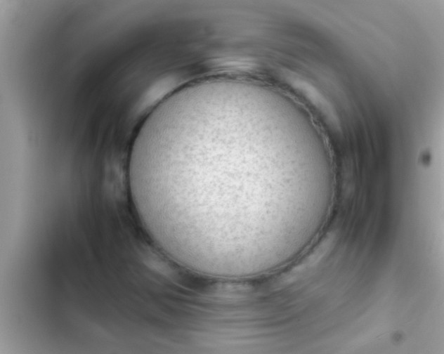 X0000102391354200808151911