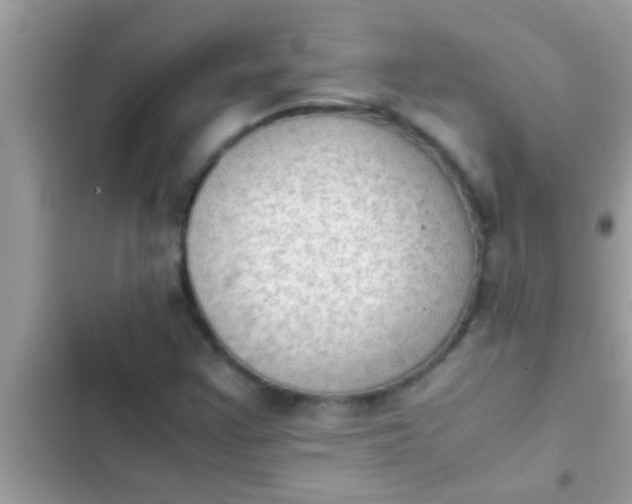 X0000102391355200808151911